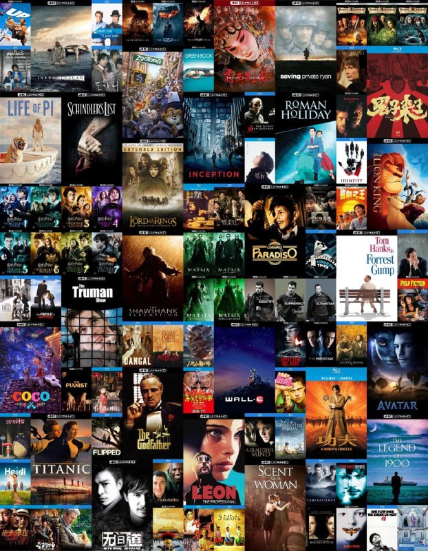 豆瓣电影 Top250 合集【11TB】【4K& 蓝光原盘 REMUX】【杜比视界 & 杜比 & 次世代 & 国英日韩多音轨】【简繁英双语特效多字幕】