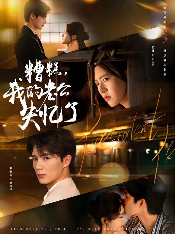 糟糕我的老公失忆了 (80集) 刘辰锦&左馨 | 短剧