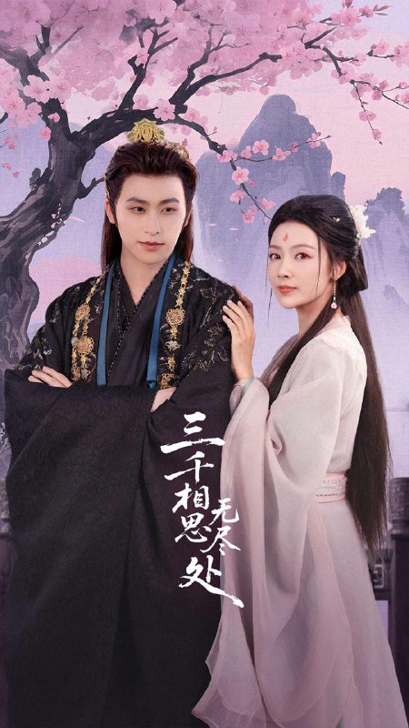 2025年11月5日 短剧合集目录8