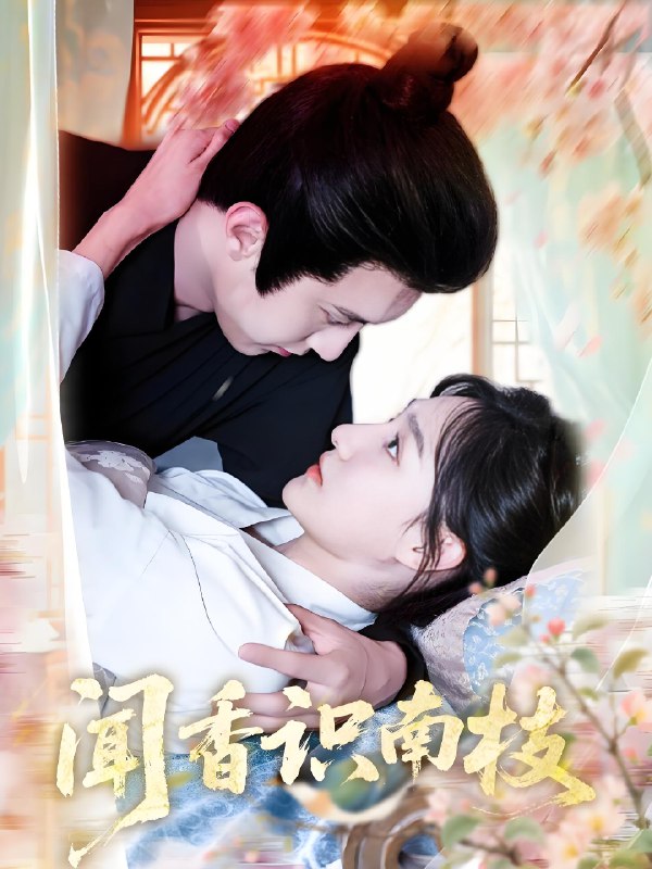 闻香识南枝 (60集) 李羽彤&希尔力 | 短剧