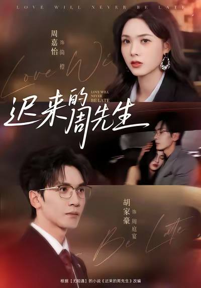 迟来的周先生（2025）1080p S01全 合并版 HiveWeb