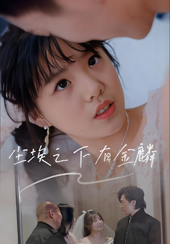 尘埃之下有金鳞 (60集) 汪晓彤 | 短剧