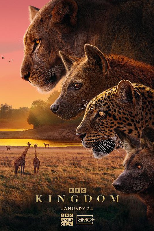 动物王国 Kingdom‎ (2025) 4K SDR HQ高码率 10Bit 国英双语 内嵌中英双字【8.2GB/集】更03集