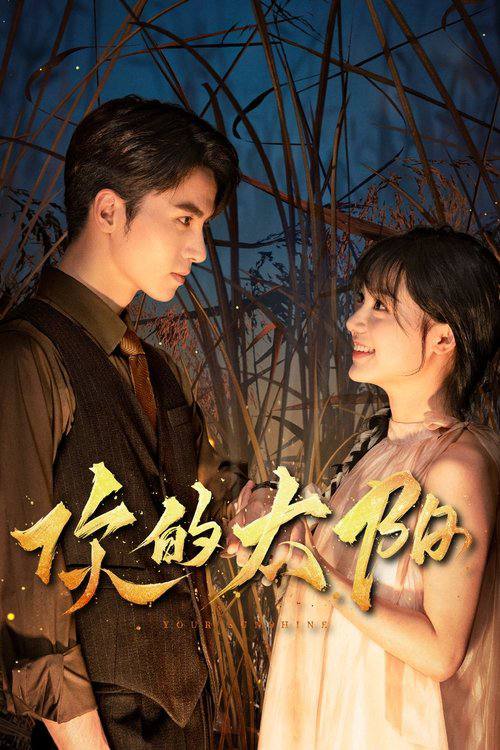 你的太阳（2025）4K 60FPS S01E01 - E12 杜比音效