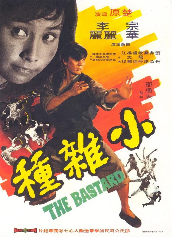 小杂种 小雜種 (1973)