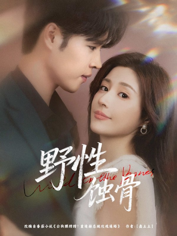 野性蚀骨（86集）张达塬&华雯|短剧