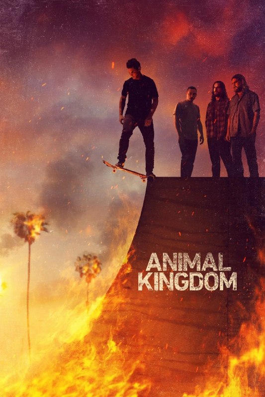 野兽家族 Animal Kingdom (2016) 1080p 原盘REMUX 中文字幕 AVC DTS-HD MA 5.1