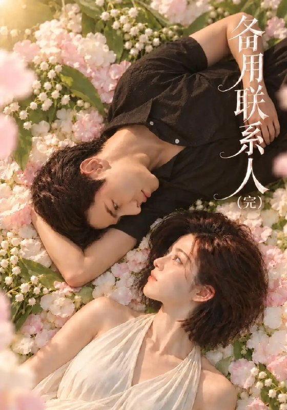 备用联系人(完)&备用联系人完(106集)AI短剧