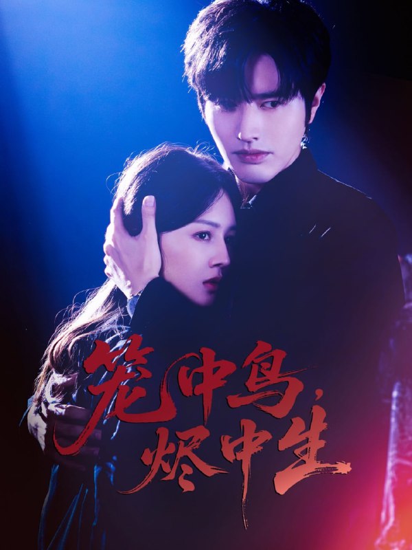 笼中鸟，烬中生（60集）罗正＆郑初晨|短剧