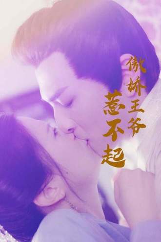 傲娇王爷惹不起(17集)【短剧】