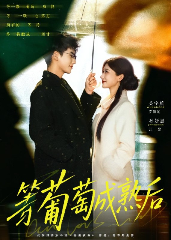 等葡萄成熟后 (82集) 吴宇航&孙妍恩 | 短剧