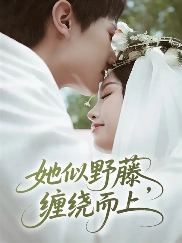 她似野藤，缠绕而上（51集）万烽＆李文茹|短剧