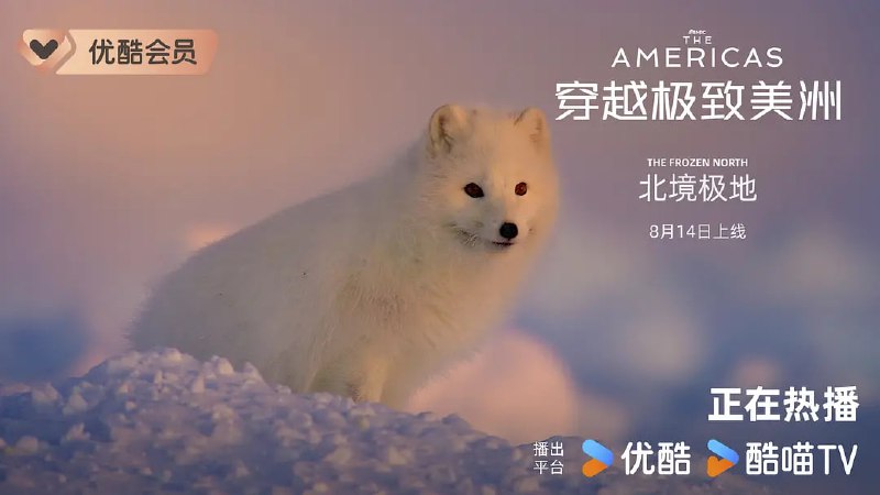 穿越极致美洲 The Americas (2025)
