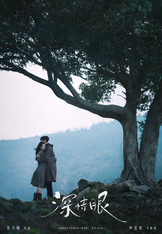 深情眼 (2025) 更至08集 [4K][剧情 爱情][张予曦 毕雯珺]