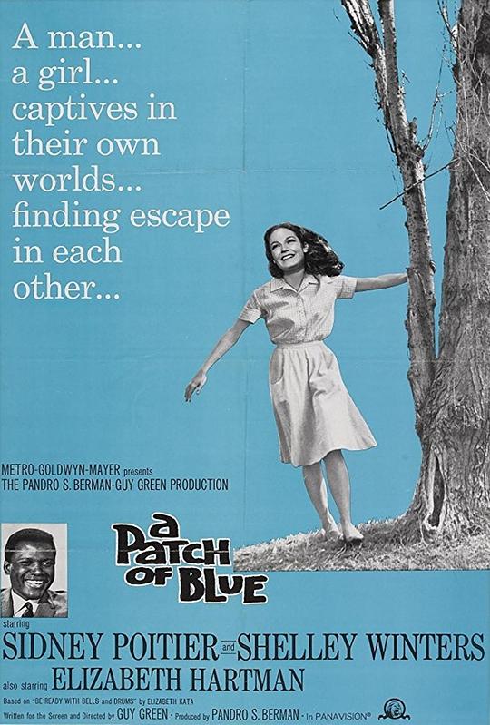 再生缘 A Patch of Blue (1965) 1080p 原盘Remux 中文字幕 【28.64GB】已刮削