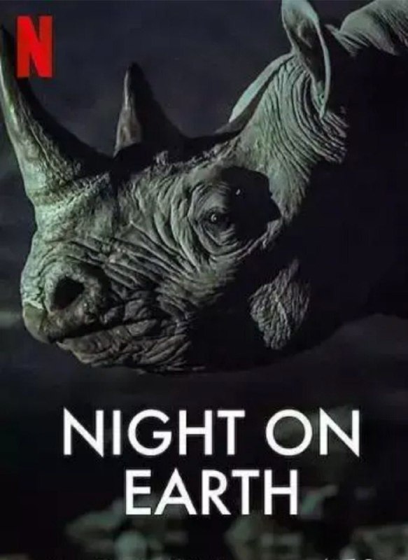 地球的夜晚 (2020) 1080P 全集 外挂简英字幕