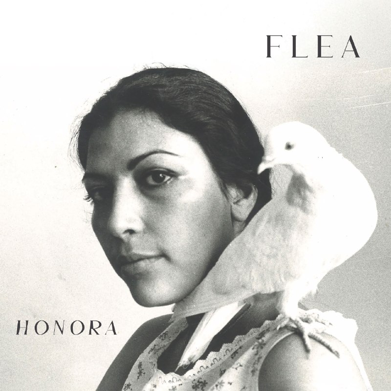 Flea - Honora (2026) FLAC 24bit 44khz 爵士 qobuz