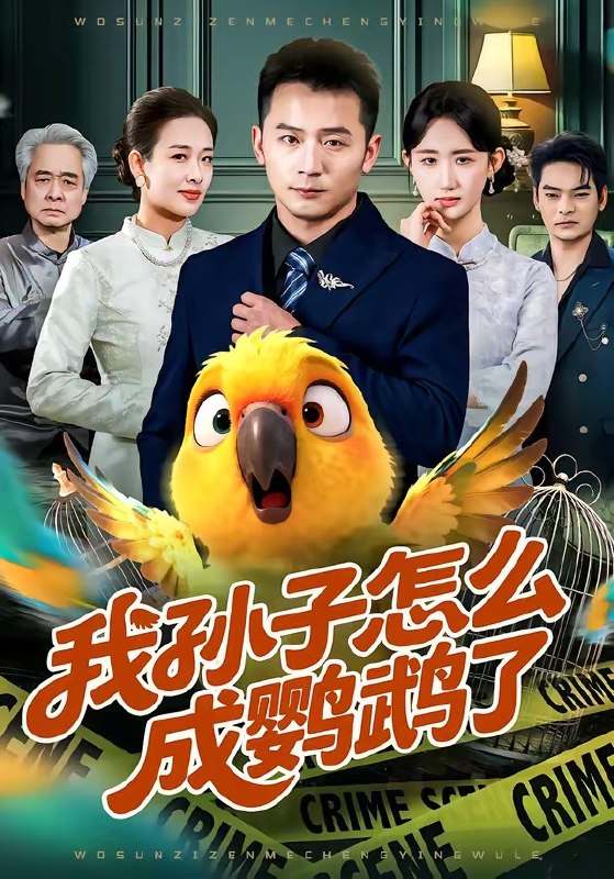 我孙子怎么成鹦鹉了（71集）何其炜＆袁初年|短剧