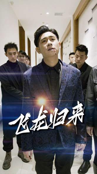 飞龙归来(89集) [赘婿]【短剧】