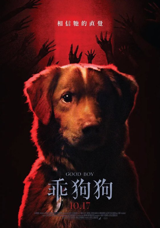 好狗狗(2025)【4K.DV.HDR】【高码率】【内封简繁英双语字幕】