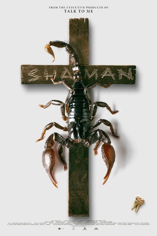 萨满 Shaman (2025)