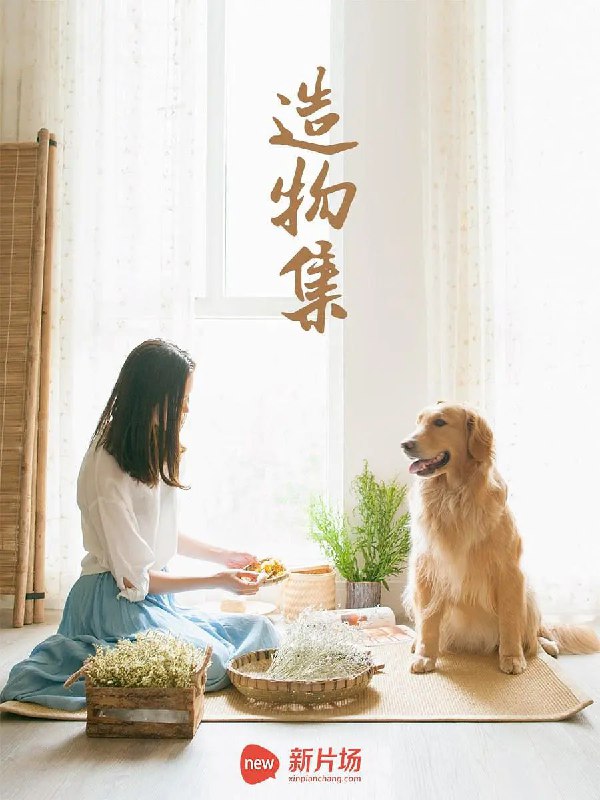 造物集 (2015)