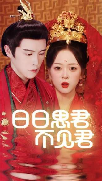 日日思君不见君(97集)【短剧】