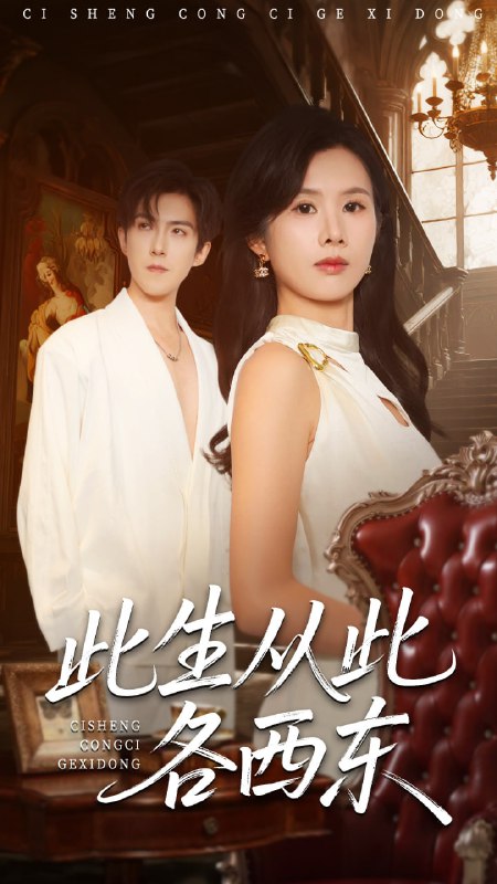 此生从此各西东（60集）赵宏伟＆刘梦奕|短剧