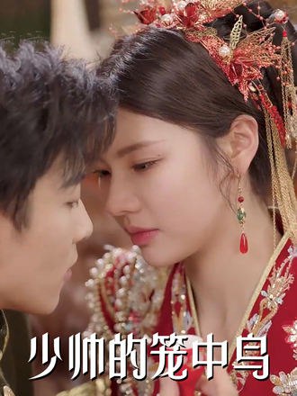 少帅的笼中鸟(70集) [虐恋]【短剧】