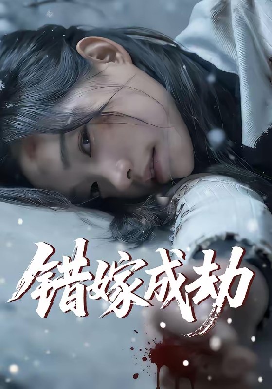 错嫁成劫 (60集) 王向志&洪佳宁 | 短剧