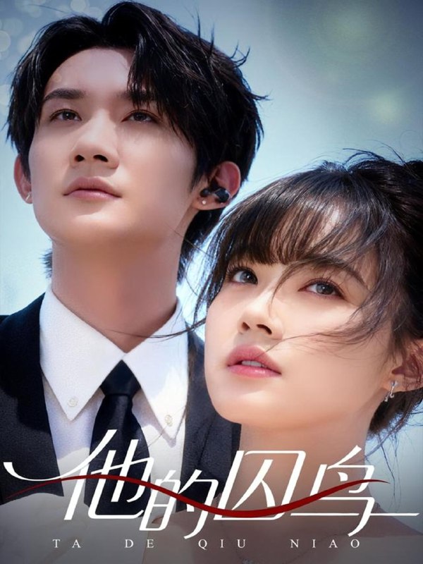 他的囚鸟 (60集) 韩一思&李嘉琳 | 短剧