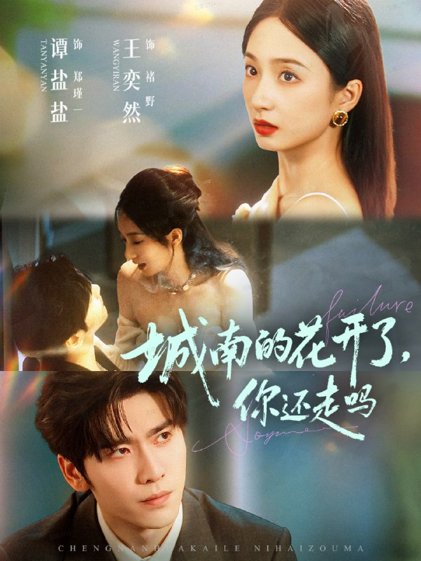 城南的花开了，你还走吗（84集）王奕然＆谭盐盐|短剧