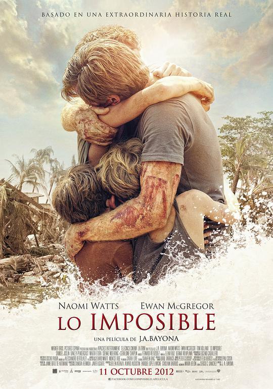 海啸奇迹 Lo imposible (2012) 1080p 原盘Remux 中文字幕 【28.01GB】已刮削