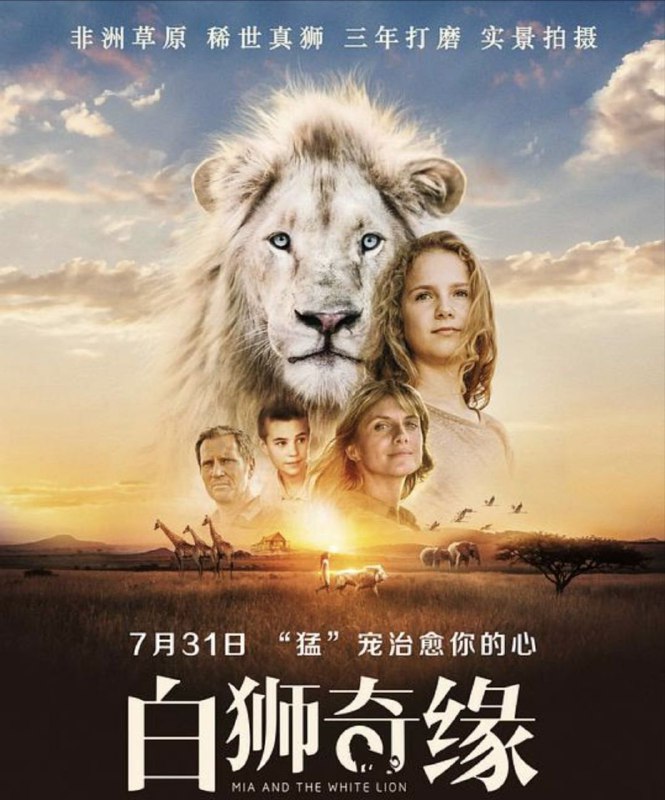 白狮奇缘 (2018) 1080P 内嵌简繁字幕