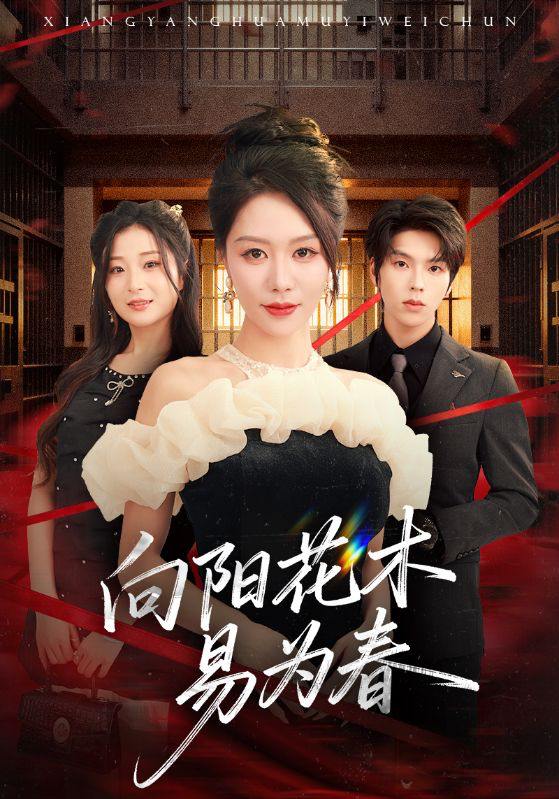 2025年11月14日 短剧合集目录1