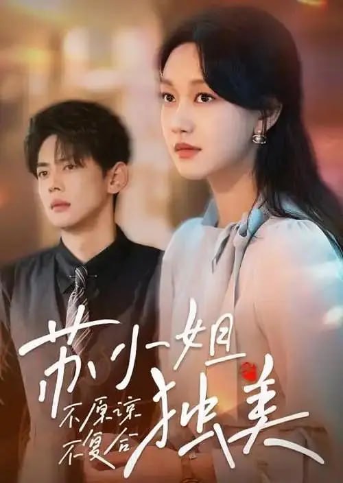 不原谅不复合苏小姐独美 (2024)