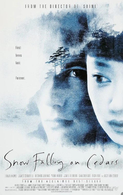 落在香杉树的雪花 Snow Falling on Cedars (1999) 1080 中文字幕 豆瓣7.4