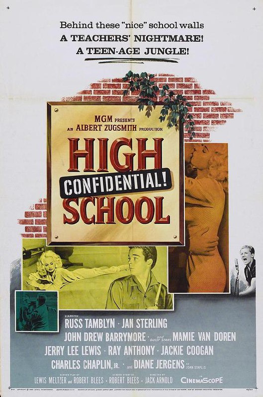 中学机密 High School Confidential! (1958) 1080p 原盘Remux 【16.20GB】已刮削
