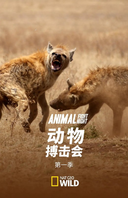 动物搏击会 第一季 Animal Fight Night Season 1 (2013)
