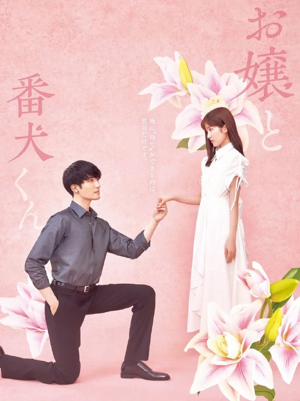 大小姐和看门犬 大小姐与看门犬 お嬢と番犬くん (2025)【25年日影】【1080P】【中文字幕】