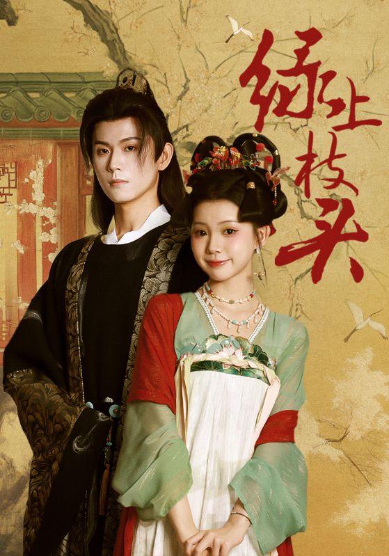 2025年10月26日 短剧合集目录1