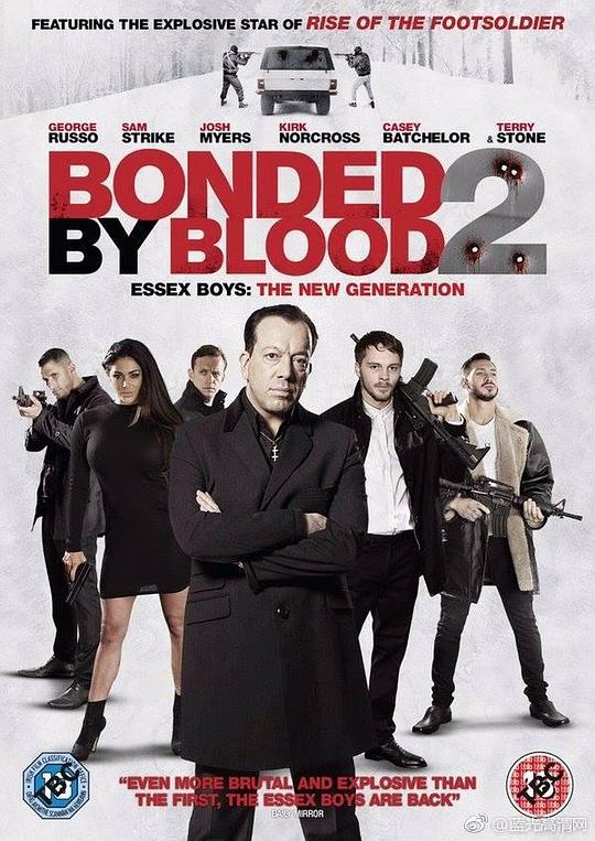 血腥担保2 bonded by blood 2 (2016) 1080p 原盘Remux 【20.73GB】已刮削