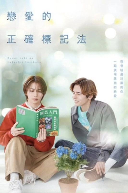 恋爱的正确标记法 (2025) 七月十四首播 已刮削 更新至E01