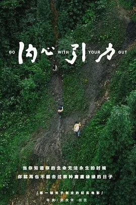内心引力 (2017) 4K
