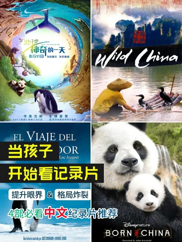 地球神奇的一天 (2016) 4K [纪录片/自然] BBC Earth 等