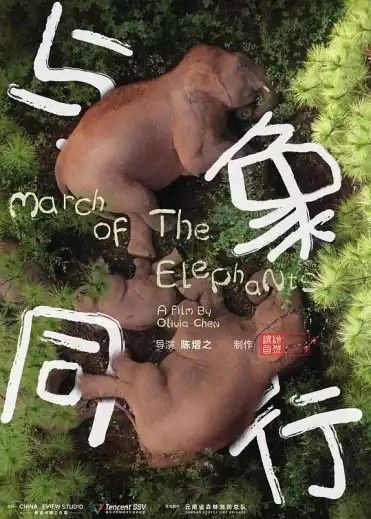 与象同行 (2022) 4K 国语