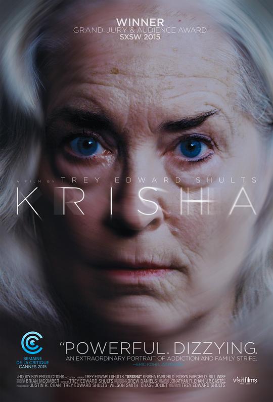 克利夏 Krisha (2016) 1080p 原盘Remux 【22.10GB】已刮削