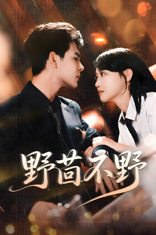 野茴不野 (67集) 靳旺&龚芳妮 | 短剧