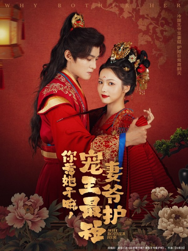 你惹她干嘛，宠妻王爷最护短（74集）谢鸿鑫＆羽翎