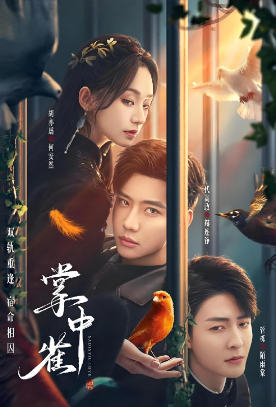 掌中雀 (24集) 代高政&管栎&胡亦瑶 | 微剧